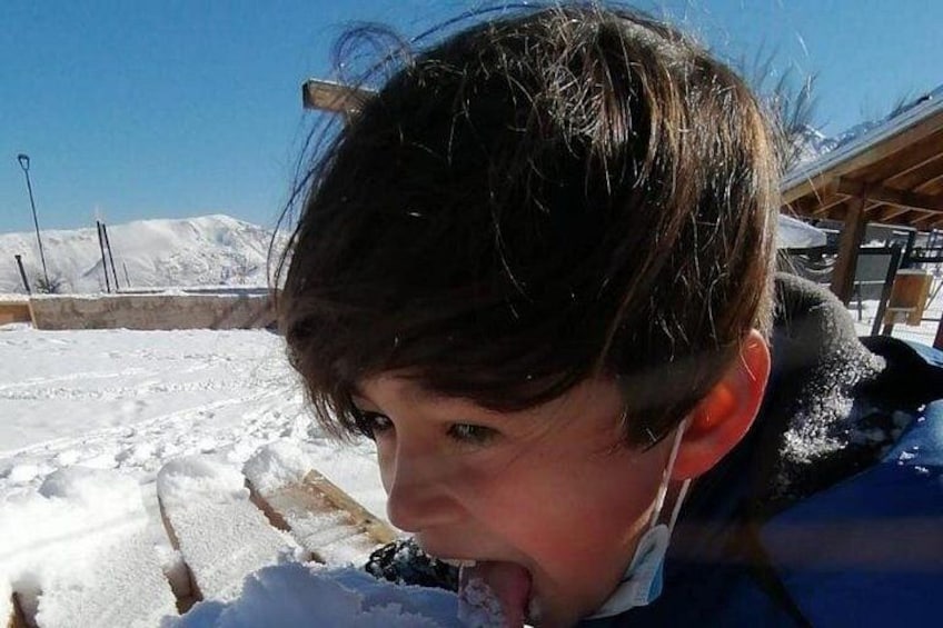 Full Day Tour to Valle Nevado and Panoramic Farellones 4