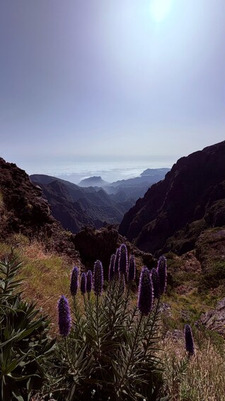 Picture 5 for Activity Madeira: Pico do Areeiro: Afternoon Stairway to Heaven Hike 2