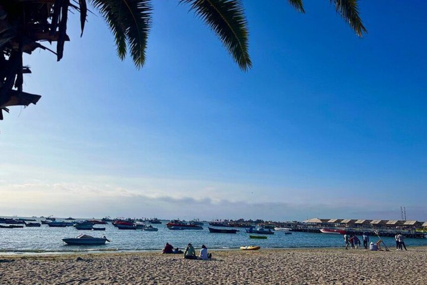Full Day Small Group to Paracas and Huacachina and vineyards 5