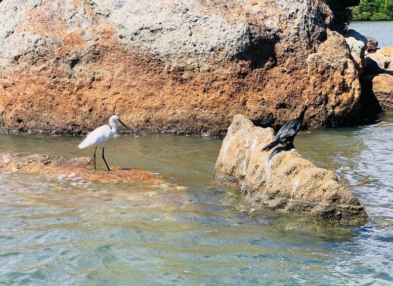Picture 25 for Activity Koggala Lake Private Boat Safari, Wildlife & Island Visits 4