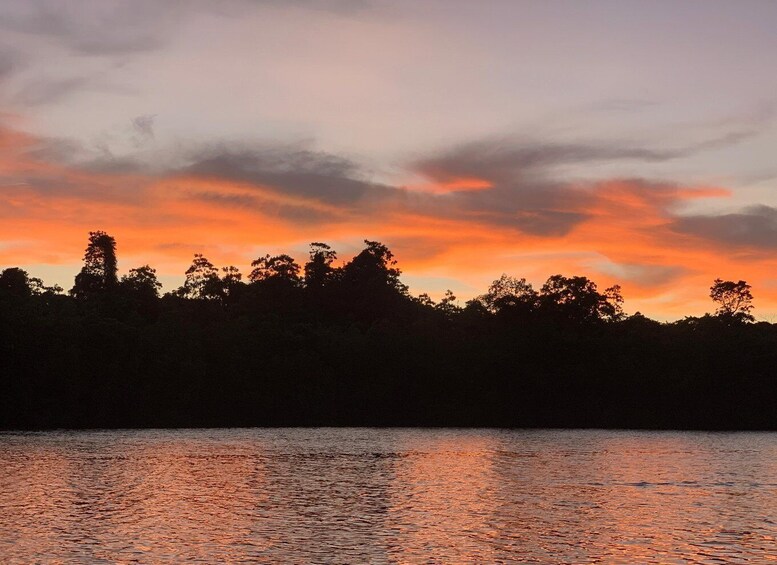 Picture 13 for Activity Koggala Lake Private Boat Safari, Wildlife & Island Visits 5