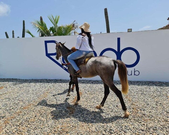 A person riding a horse on a pebbled surface with a wall in the background displaying the text 'Robo Club.' 3