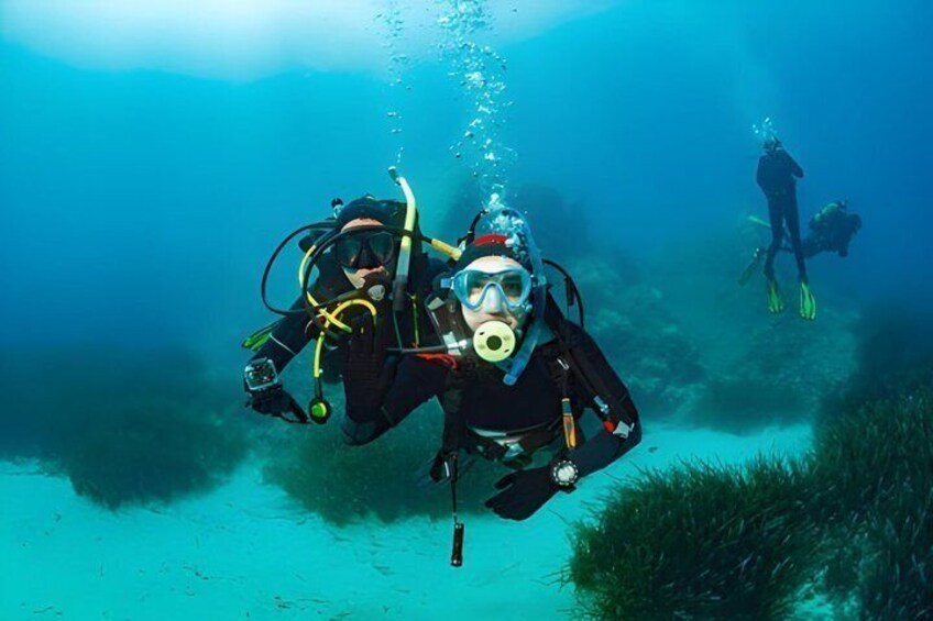 Two scuba divers underwater with equipment, surrounded by marine life and underwater vegetation. 3