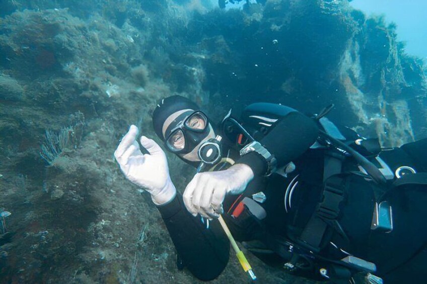 A diver underwater, holding a snorkel and mask, surrounded by marine life and coral formations. 4