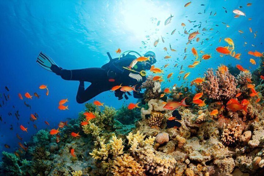Tangier to Belyounech Private Scuba Diving Adventure 1