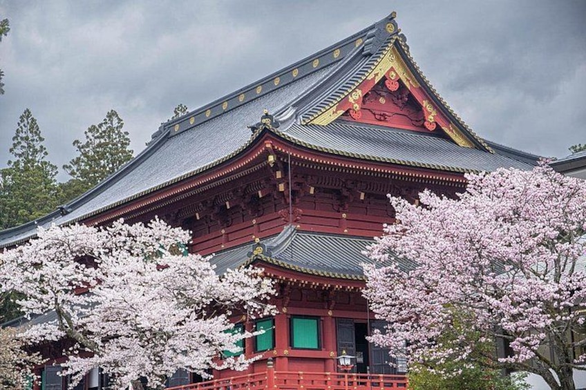 Vip | Nikko Signature Tour | Private Luxury from Tokyo 2