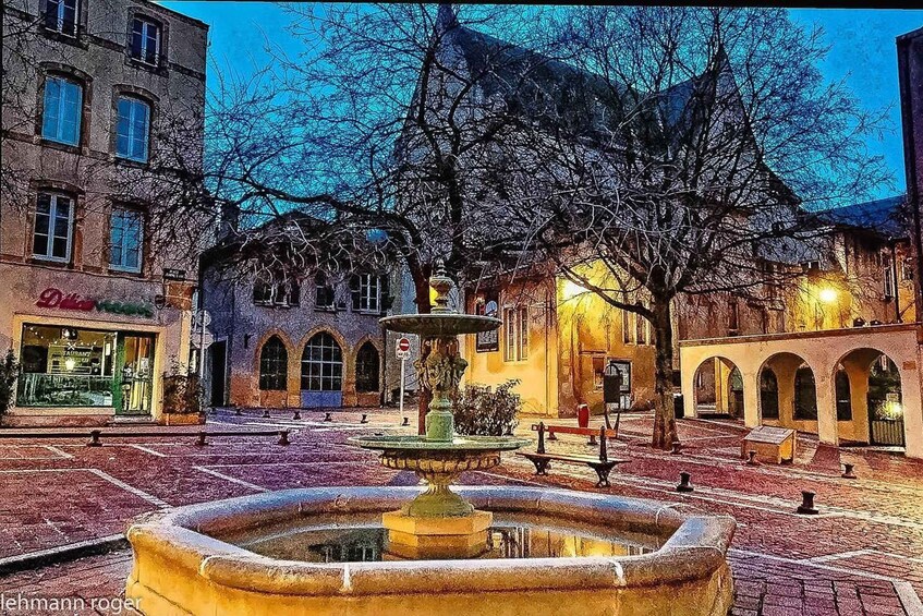 A courtyard with a fountain, buildings, and bare trees. 3
