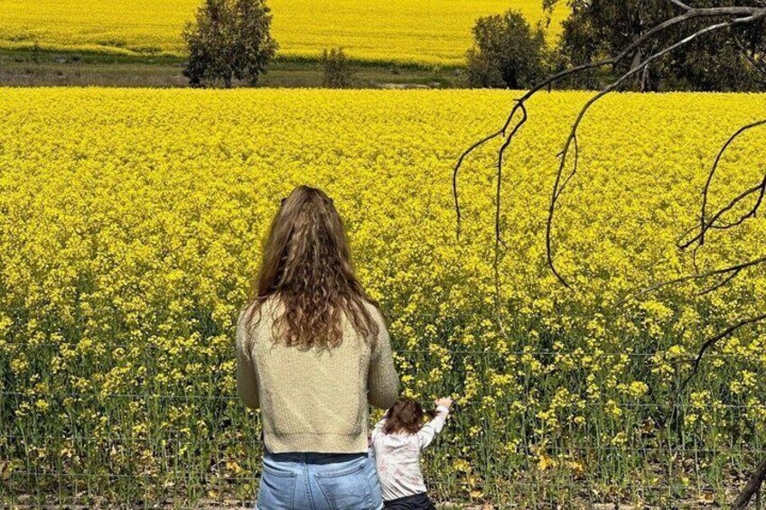 A woman and a child standing in a field of yellow flowers. 1