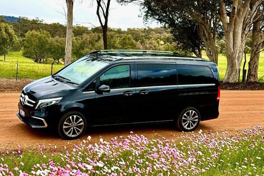 From Perth Private Premium Wildflowers and Canola Fields Tour 3