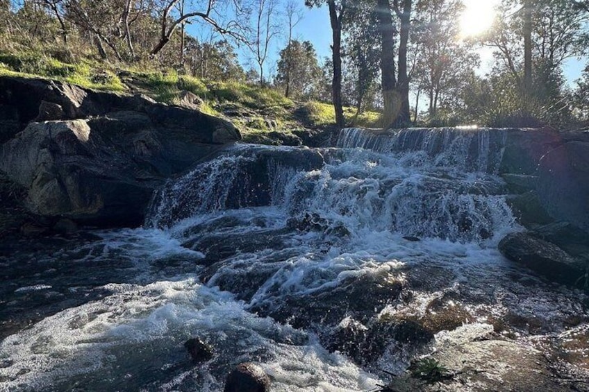A waterfall cascading over rocks in a forested area. 3