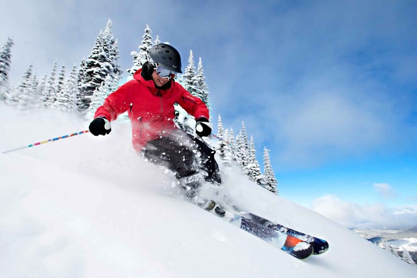 A skier in a red jacket skiing down a snowy slope with trees in the background. 2