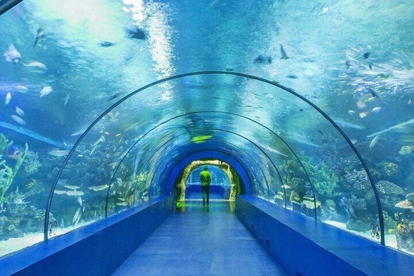 4-Hour Guided Antalya Aquarium Tour