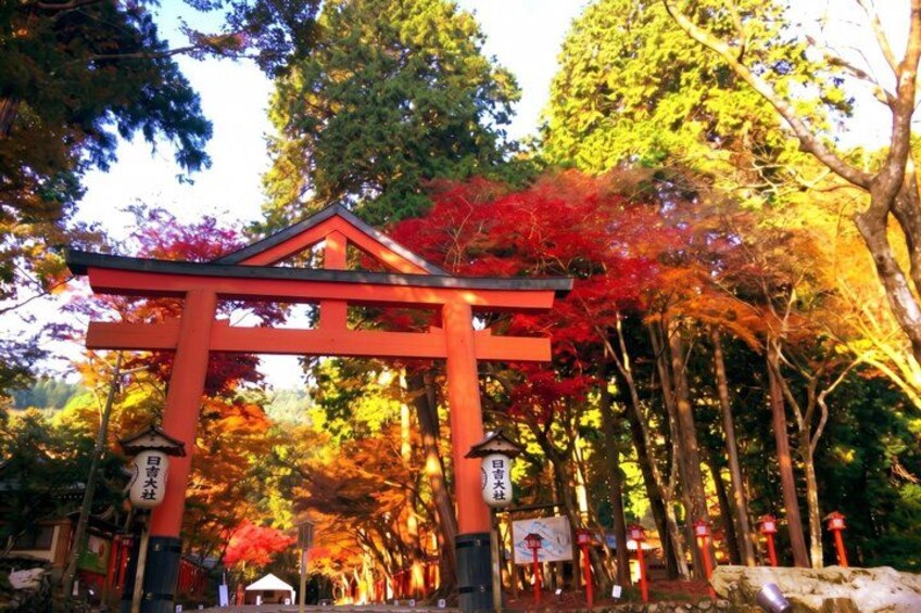 A red torii gate with autumn foliage in the background. 2