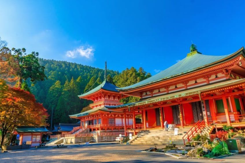 A traditional Japanese temple with a red roof, a multi-tiered pagoda, and a forested hillside in the background. 5