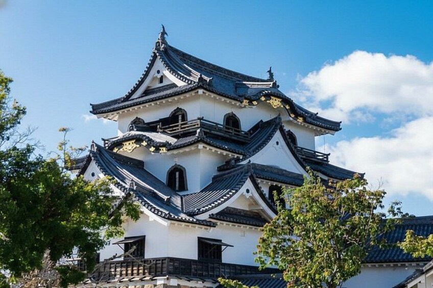 Shiga Private Custom Tour with Local Guide 1