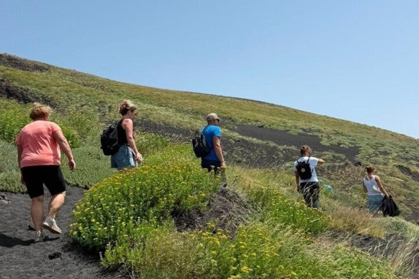 Etna Morning Trek with Departure from Syracuse 3