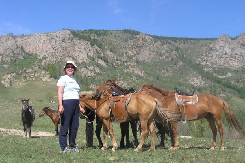 A person with horses in a grassy field with mountains in the background. 1
