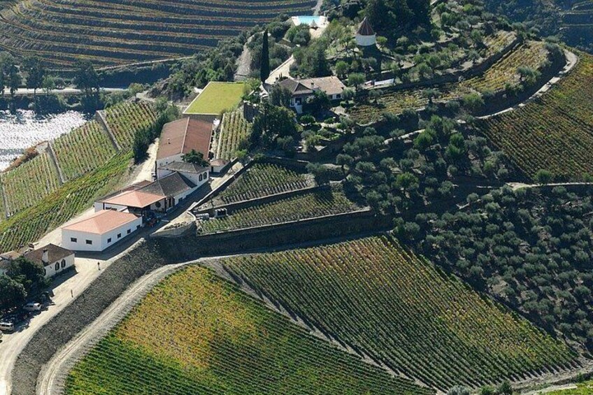 Private Douro Valley Wine Tour with Scenic Cruise and Lunch 2