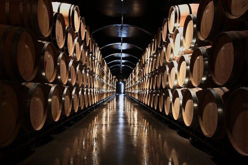 Private Douro Valley Wine Tour with Scenic Cruise and Lunch 4