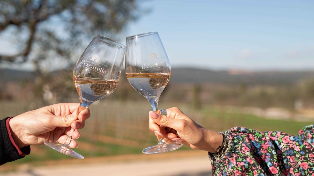 Two hands holding wine glasses with a vineyard in the background. 5