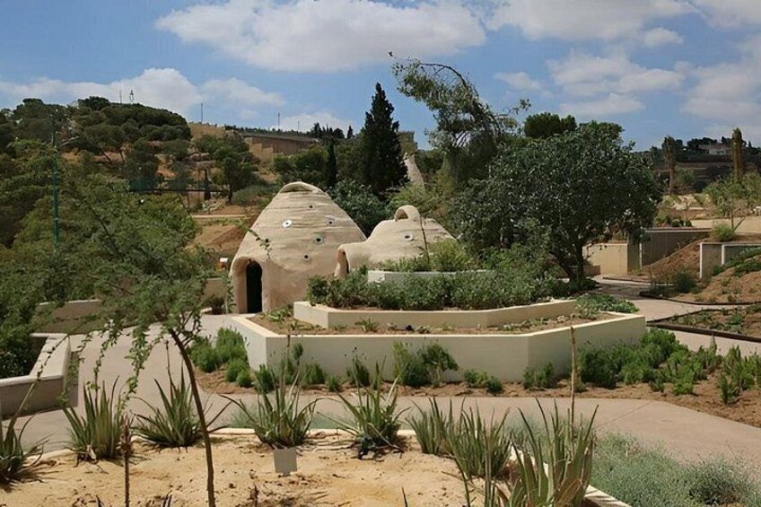 Cultural Immersion Experience with a Jordanian Family 2
