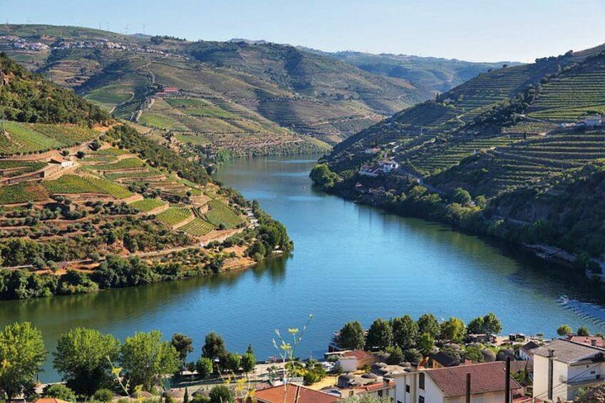 Wine Villages & Douro Views Private Shore Tour from Lamego 1