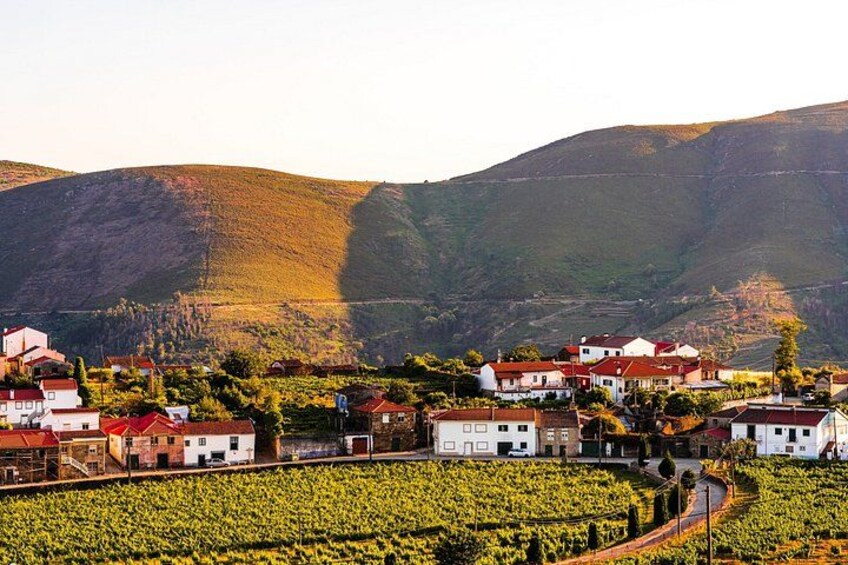Wine Villages & Douro Views Private Shore Tour from Lamego 2