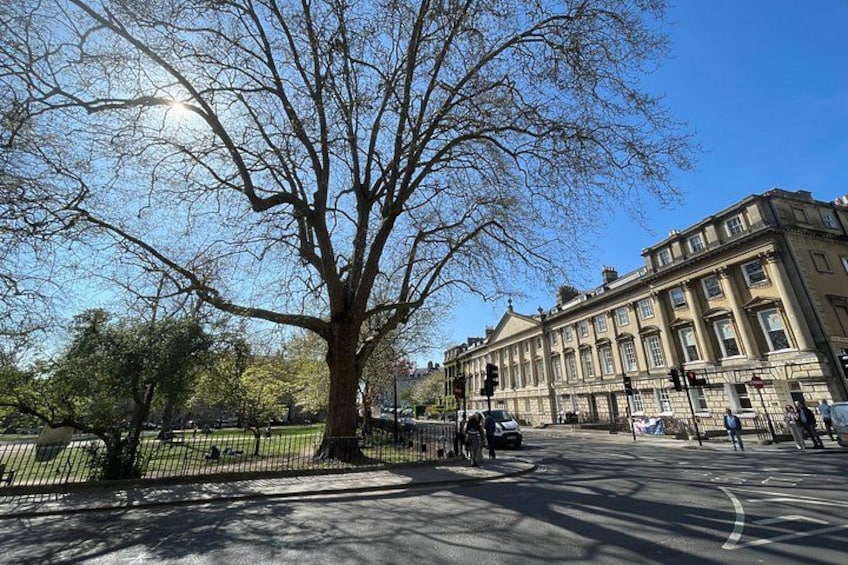Un grande albero in un parco, un edificio dall'architettura classica e una strada con dei veicoli. 2