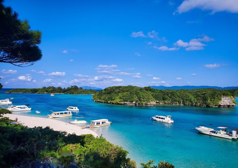 Un paysage côtier avec des bateaux sur des eaux turquoise, une plage de sable et, au loin, des collines verdoyantes. 5