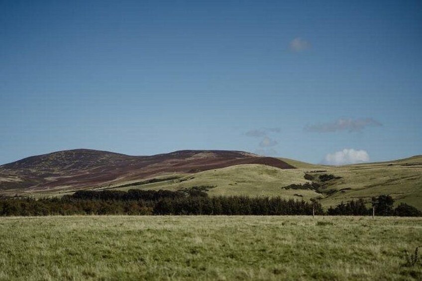 A grassy field with rolling hills and a clear sky. 2