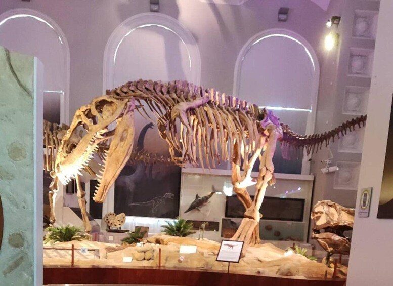 En udstilling med et dinosaur skelet i et museum, komplet med hvælvinger og informationsskilte. 2