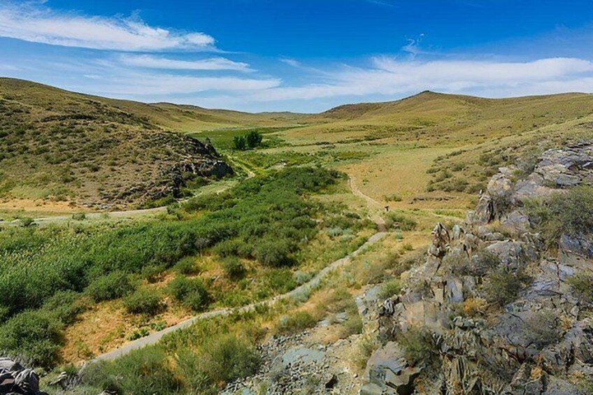 Group tour Tanbaly Ancient petroglyphs UNESCO World Heritage 3