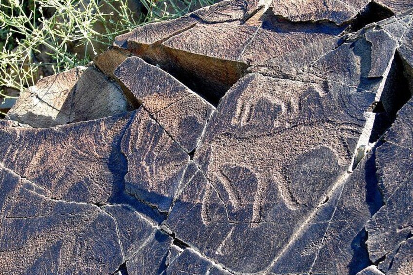 Group tour Tanbaly Ancient petroglyphs UNESCO World Heritage 4