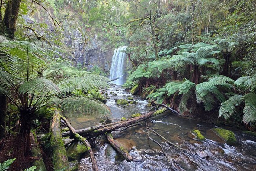 A waterfall in a lush forest with ferns and a fallen tree in the foreground. 1