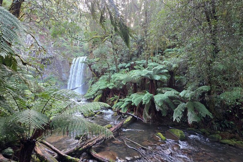 A lush forest with a waterfall and a stream. 5