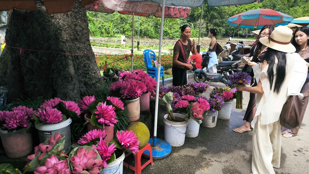 Picture 36 for Activity Ninh Binh: Priavate Cycling & Meditation Tour (Buddhist Nun) 4