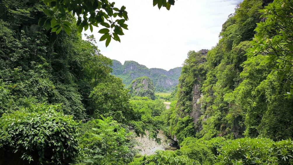 Picture 41 for Activity Ninh Binh: Priavate Cycling & Meditation Tour (Buddhist Nun) 3