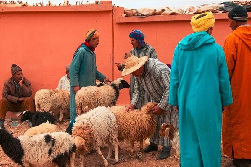Moroccan Weekly Markets Shop Like a Local With A Small Budget 3