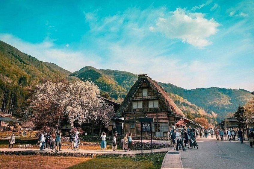 A traditional Japanese building with a thatched roof, surrounded by cherry blossoms and mountains in the background. 1