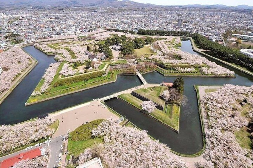 A park with geometric flower arrangements and water channels. 5
