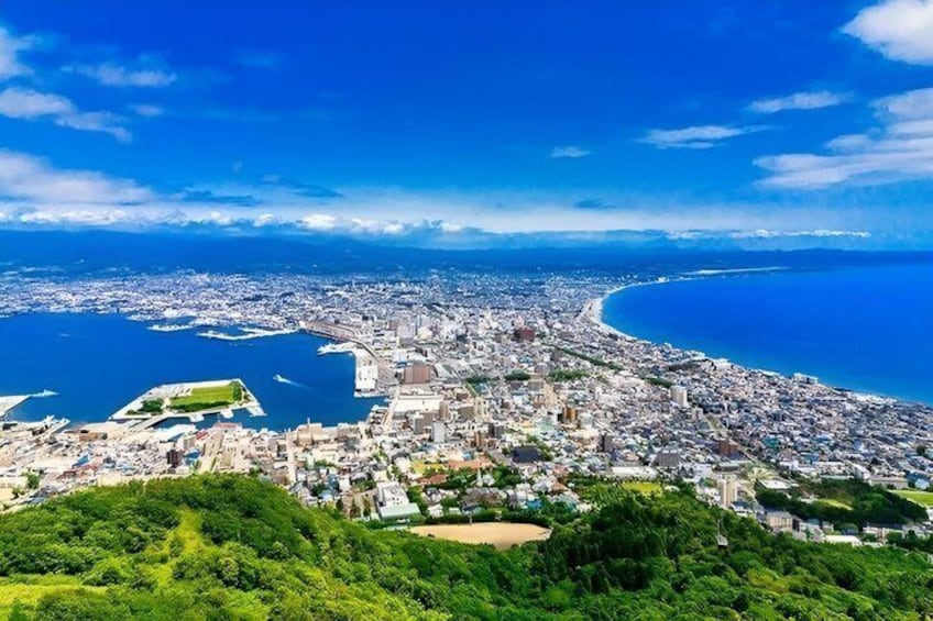 A coastal cityscape with a prominent harbor, dense urban area, and a green hill in the foreground. 3