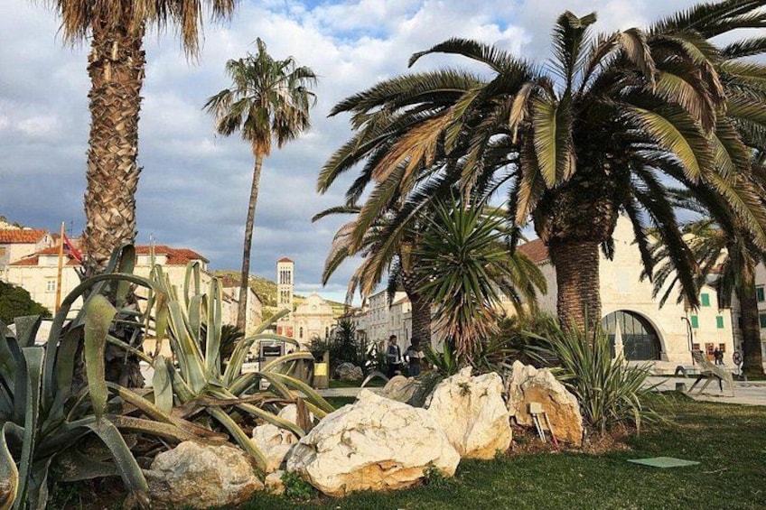 A garden with palm trees, rocks, and a building with a red roof. 4