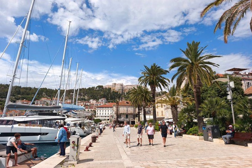 A marina with sailboats, palm trees, and a historic building in the background. 2