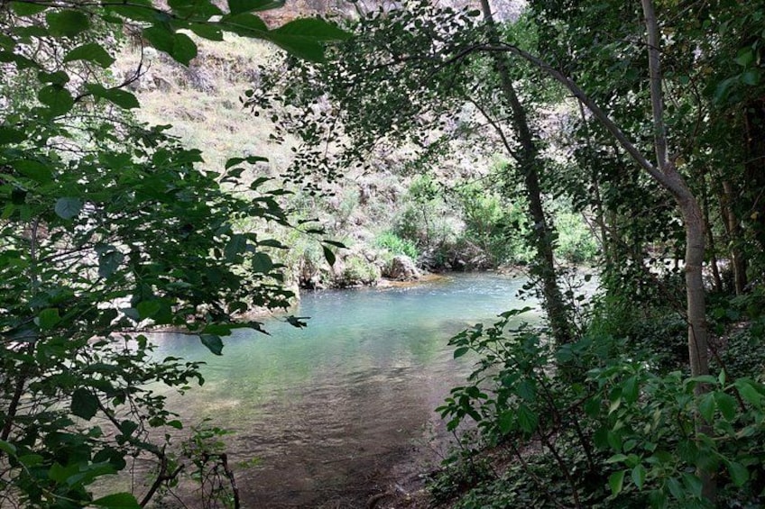 A river surrounded by dense foliage. 2