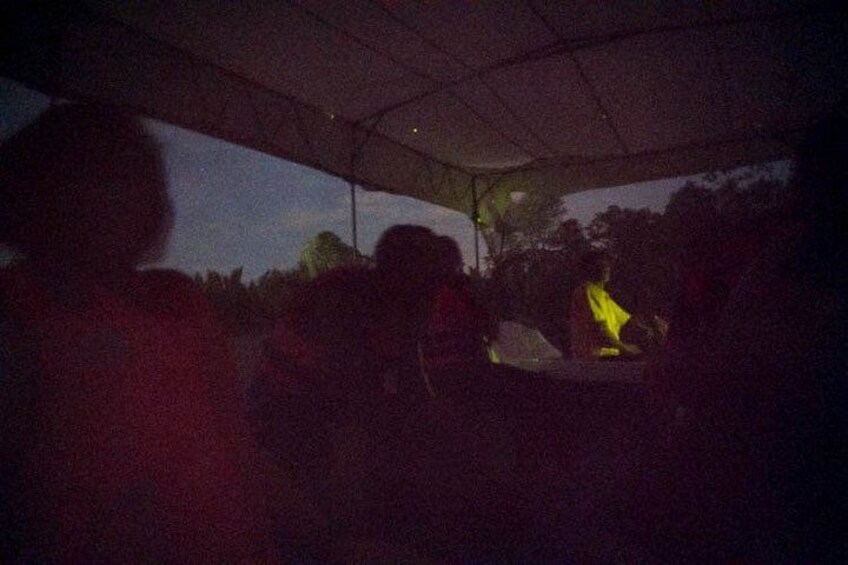 Sandakan Mangrove Fireflies Dinners Tastings and Cruise 2