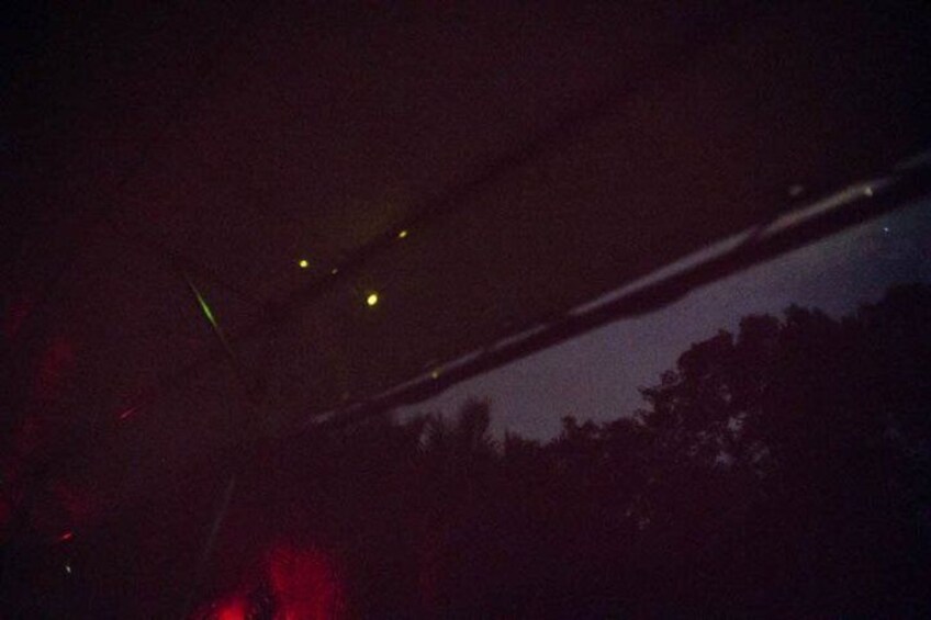 A dark sky with a few visible stars and a faint outline of a tree line. 3