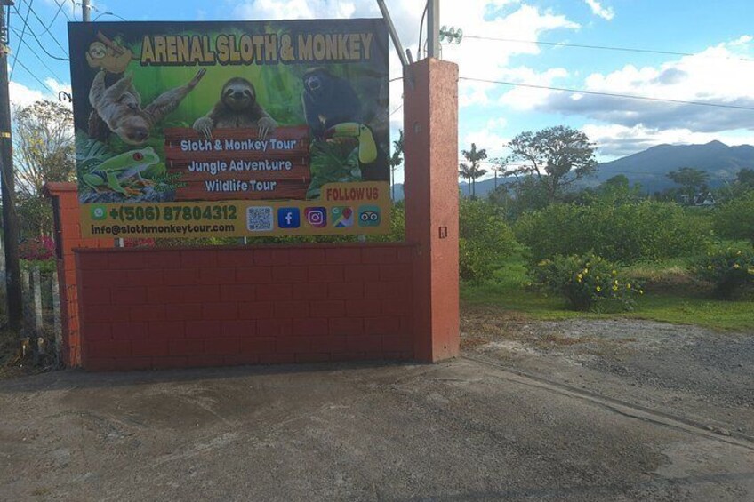Sloths and Monkeys Guided Tour in Arenal Nature Walk 3
