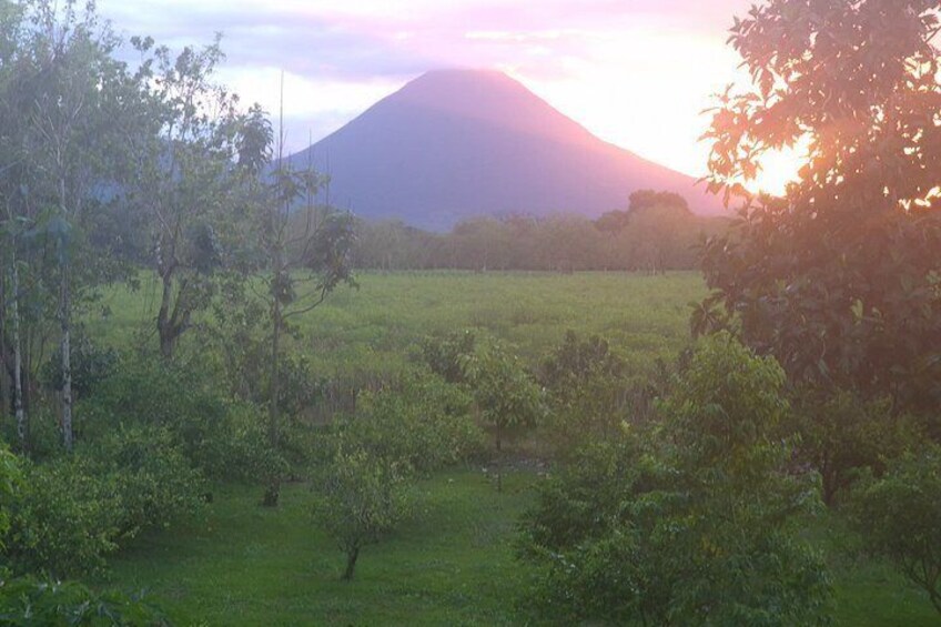 Sloths and Monkeys Guided Tour in Arenal Nature Walk 2