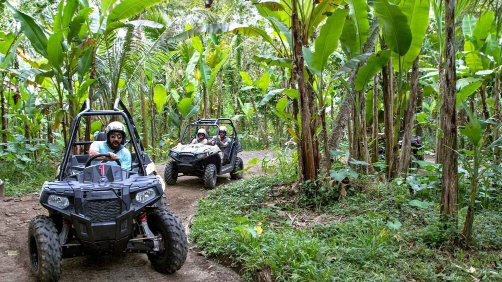 Picture 5 for Activity Ubud: Electric Bike, Jungle UTV & visit Chocolate factory 4