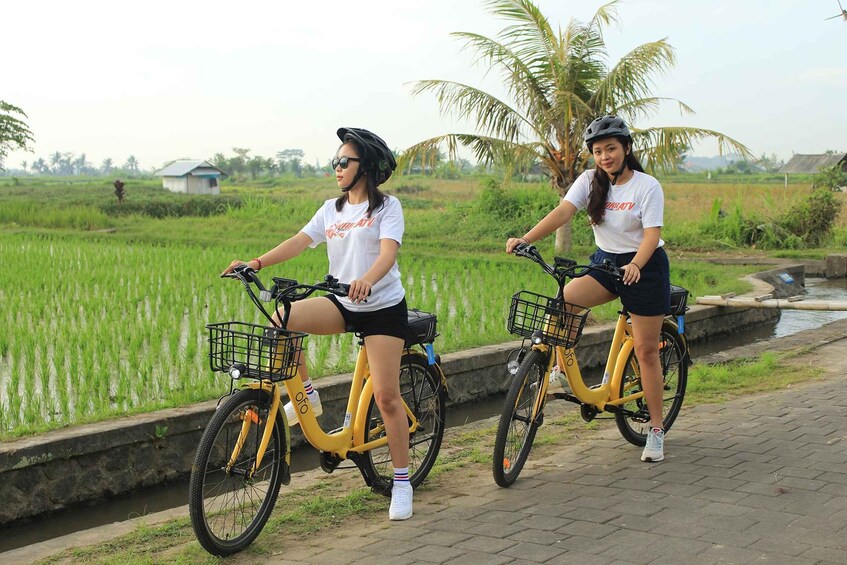 Picture 6 for Activity Ubud: Electric Bike, Jungle UTV & visit Chocolate factory 1